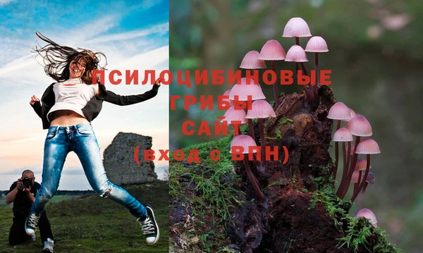 MESCALINE Богданович