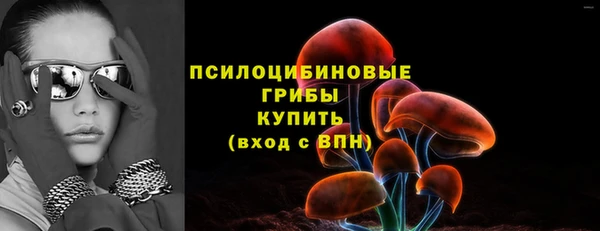 mix Богородицк